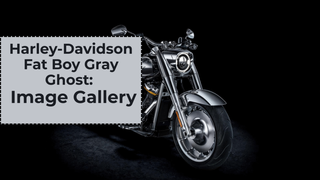 Harley-Davidson Fat Boy Gray Ghost: Image Gallery