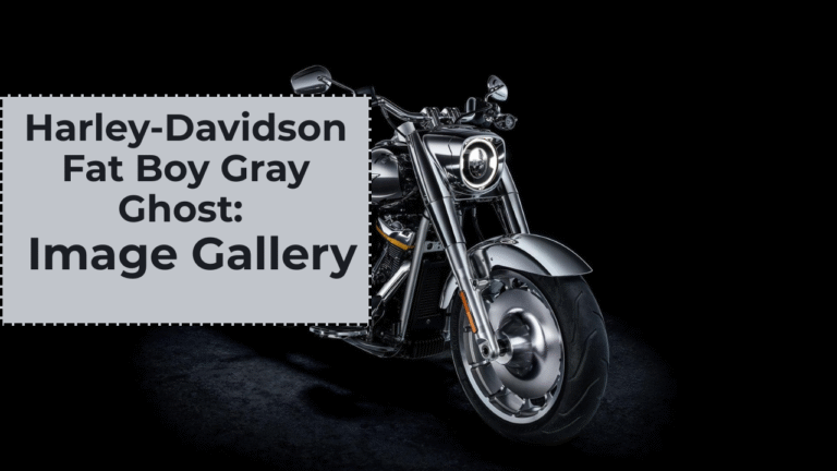 Harley-Davidson Fat Boy Gray Ghost: Image Gallery